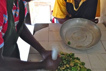 The herbal medicine laboratory